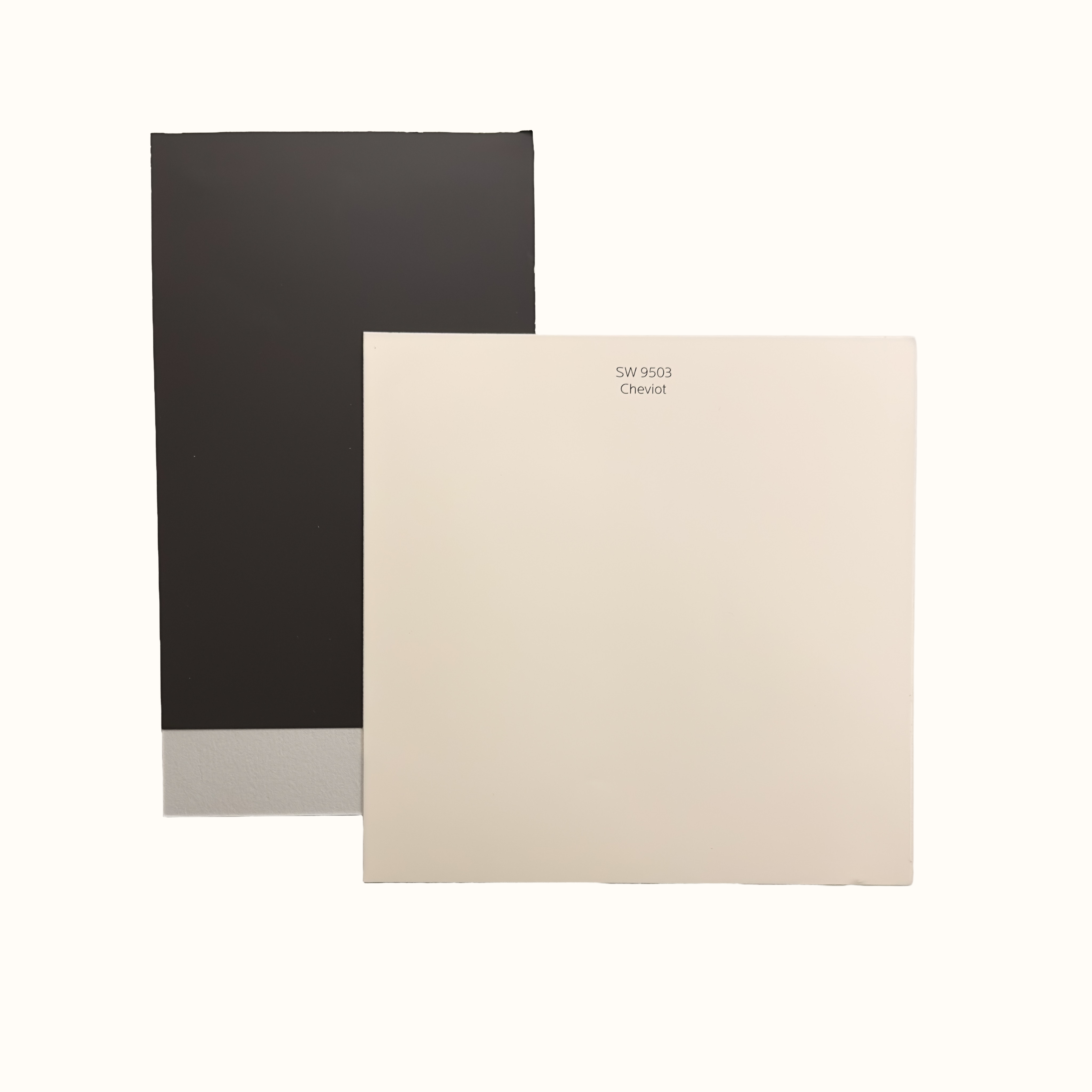 Large Paint Swatches